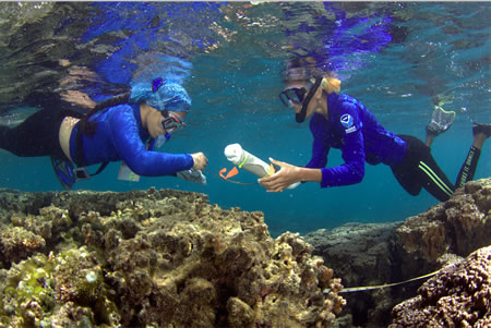 Coral Reef Mapping